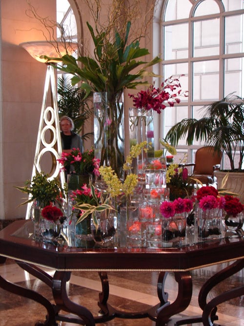 Weekly Flowers Dallas Delivery & Install Dr Delphinium